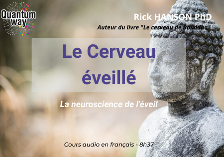 Le cerveau éveilé - Rick Hanson